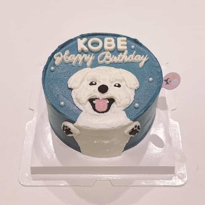 เควิน ดีรมรัมย์ avatar